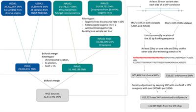 Development of a High-Density 665 K SNP Array for Rainbow Trout Genome-Wide Genotyping